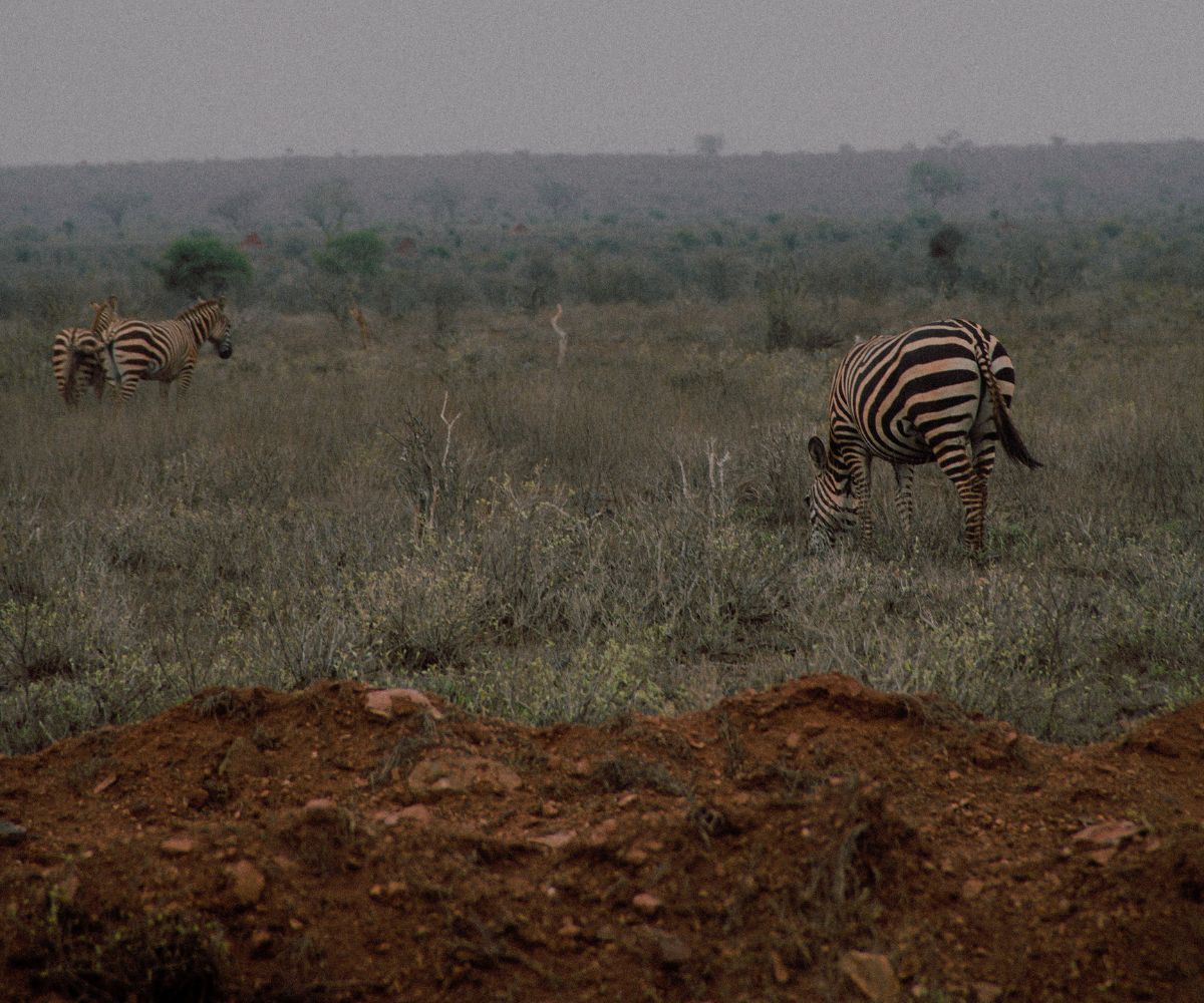 Kenya’s most beautiful landscapes