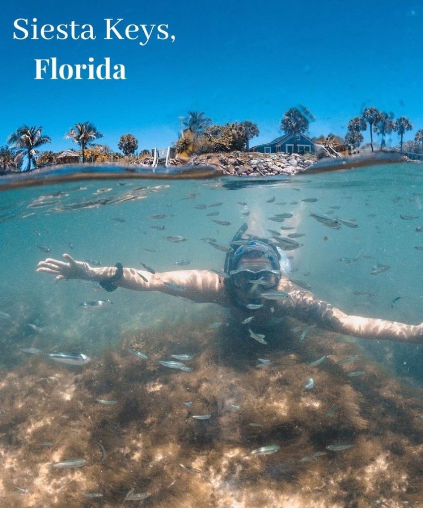 The Ultimate Guide To Siesta Key Beach: An Unforgettable Experience ...